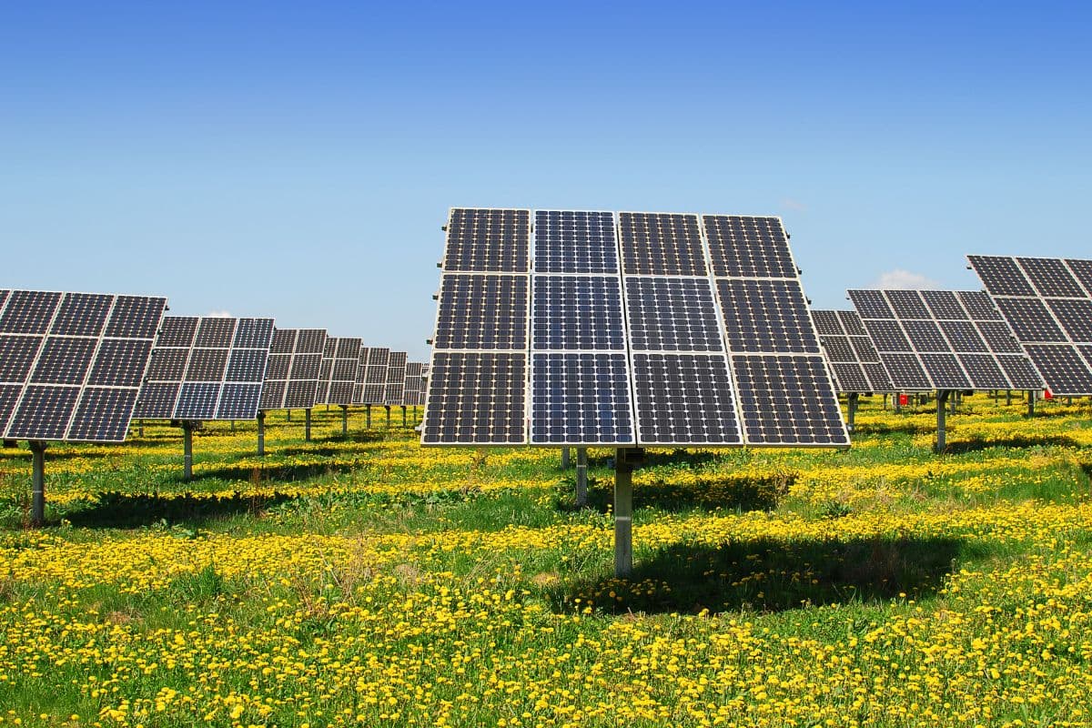 5 Beneficios Reales de Instalar Paneles Solares en tu Hogar